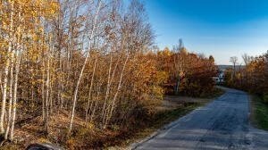 /international/us/lot-28-grand-view-drive-dedham-me-110100330649/