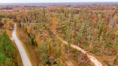 /international/us/mouse-tail-road-parsons-tn-110090673969/