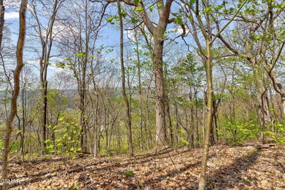 /international/us/lot-125e-settlers-view-lane-sevierville-tn-110101058044/?lang=zh-cn