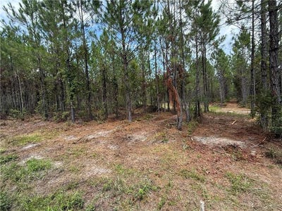 /international/us/0-lot-5-corbitt-road-manor-ga-110101201367/