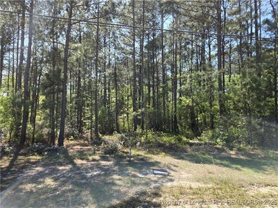 /international/us/s-main-street-hope-mills-nc-110098929713/