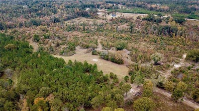 /international/us/battle-road-hurtsboro-al-110103421804/