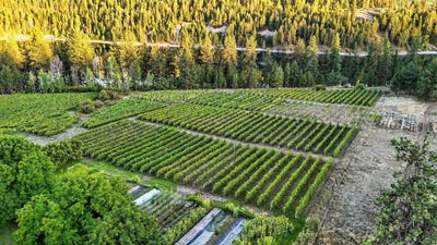 /international/us/3752-vineyard-way-kettle-falls-wa-110107393910/