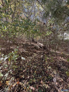 /international/us/4620-legacy-preserve-way-brownsboro-al-110089406393/