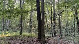 /international/us/5565-romeyn-woods-middleville-mi-110100676671/