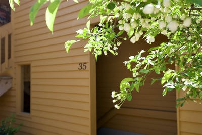 /international/us/4749-s-pleasaantview-harbor-springs-mi-110108471512/