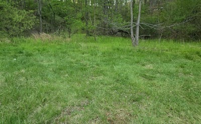 /international/us/6993-franklin-rd-boones-mill-va-110107170263/