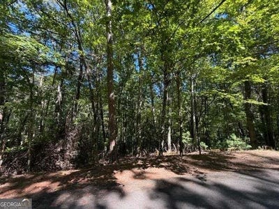 /international/us/305-seneca-drive-ellijay-ga-110110368532/
