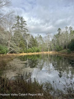 /international/us/239-sundale-road-accord-ny-110103384422/