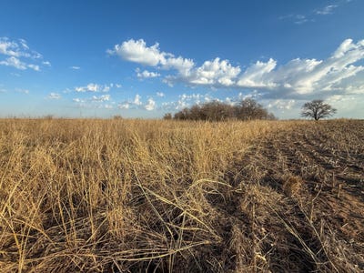 /international/us/80ac-grant-rd-lamont-ok-110106183691/