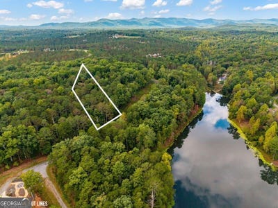/international/us/pinnacle-drive-lot-195r-ellijay-ga-110120489065/