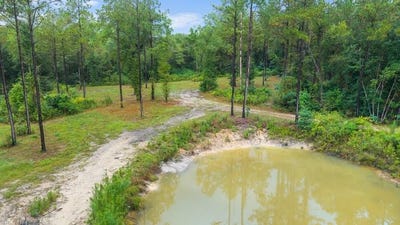 /international/us/nhn-hwy-26-e-poplarville-ms-110102527971/