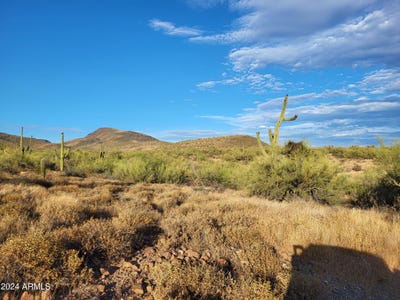 /international/us/439xx-n-24th-street-new-river-az-110099526200/?lang=en