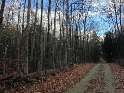 /international/us/20-hall-mountain-road-warrensburg-ny-110108168140/