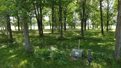 /international/us/hunter-cr-lot-11-antigo-wi-110095717365/