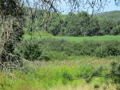 /international/us/state-route-80-lot-1-smyrna-ny-110119648709/