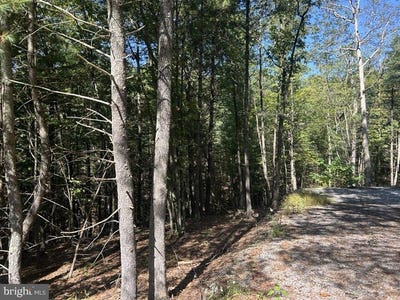 /international/us/553-lookout-ridge-drive-wardensville-wv-110102793245/