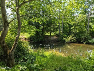/international/us/295-railbed-trail-kunkletown-pa-110093541897/