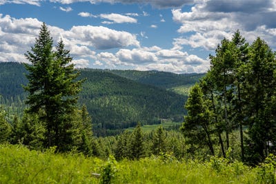 /international/us/2342-sirius-view-kalispell-mt-110108935113/