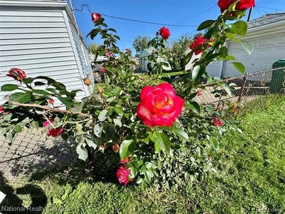 /international/us/24884-hayes-avenue-eastpointe-mi-110120157657/