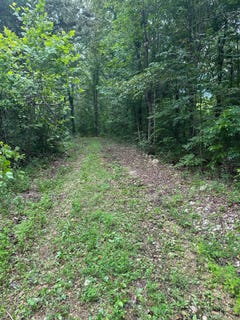 /international/us/tbd-only-road-only-tn-110102573185/