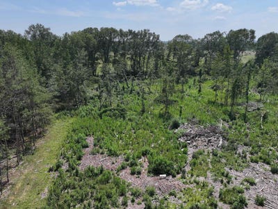 /international/us/tbd-kadoha-road-murfreesboro-ar-110101369415/?lang=en