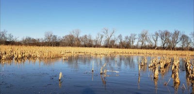 /international/us/1-county-rd-45-fillmore-mo-110102156389/