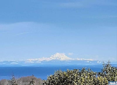 /international/us/313-chickadee-lane-sequim-wa-110098162003/