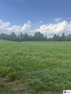 /international/us/tract-1-loretto-road-bardstown-ky-110101049266/