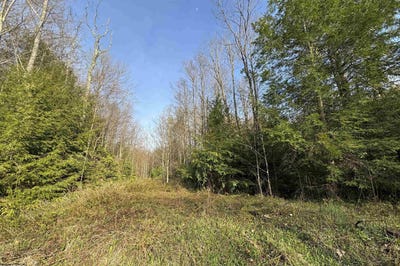/international/us/gondola-court-lot-80-davis-wv-110107586050/
