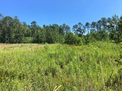 /international/us/2360-2360-presidio-dr-sumter-sc-110100413480/?lang=zh-tw