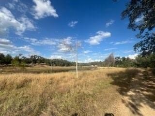 /international/us/lot-18-woodland-trail-ranch-caldwell-tx-110100839235/