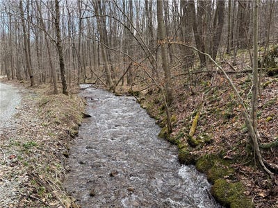 /international/us/lot-1-neals-run-road-saltlick-twp-pa-110102829453/