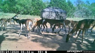 /international/us/267-cr-112-goldthwaite-tx-110100343053/