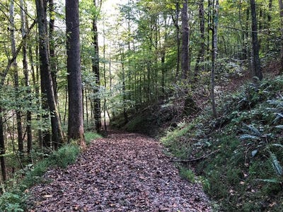 /international/us/scary-creek-road-in-hamlin-lincoln-county-wv-110107206272/