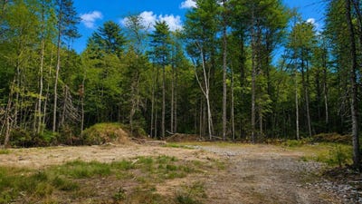 /international/us/lot-42-colby-road-westport-island-me-110119683589/