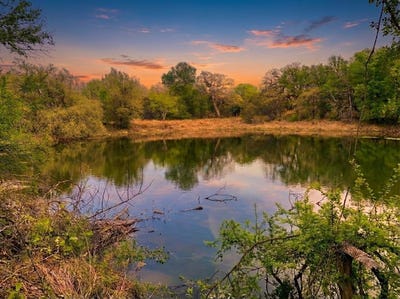 /international/us/1039-1033-creek-crossing-road-nemo-tx-110104186827/