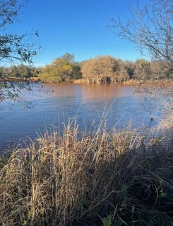 /international/us/487-county-road-116-girard-tx-110105801754/