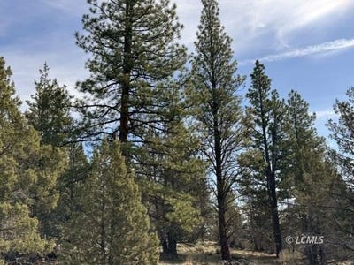 /international/us/hwy-140-beatty-or-110106945434/
