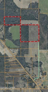 /international/us/peanut-road-cottondale-fl-110105459794/