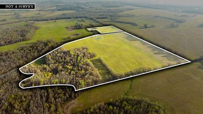 /international/us/boydsville-rd-palmersville-tn-110107056027/