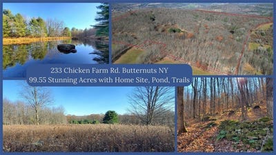 /international/us/233-chicken-farm-road-butternuts-ny-110096034716/?lang=zh-tw