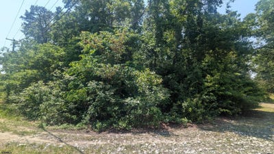 /international/us/b-851-l-7-s-ash-ave-galloway-township-nj-110100898774/