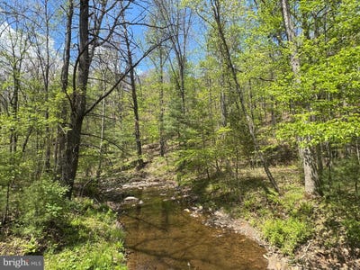 /international/us/shockeysville-road-winchester-va-110108064424/