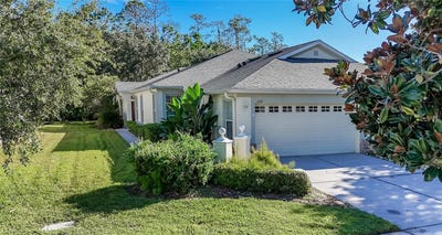 /international/us/3428-chapel-creek-circle-wesley-chapel-fl-110120410651/