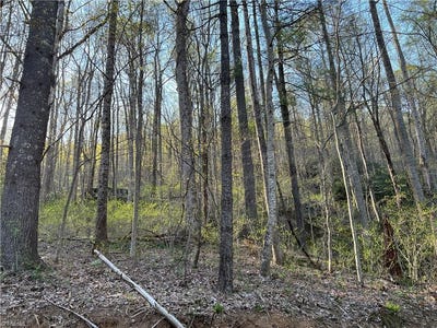 /international/us/tbd-briar-rock-trail-fancy-gap-va-110086397454/