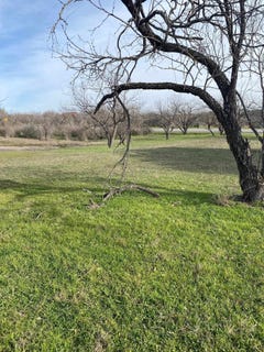 /international/us/lt-9013-springfield-horseshoe-bay-tx-110100986973/
