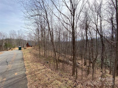/international/us/46-holmstead-drive-lake-lure-nc-110081346580/