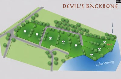 /international/us/tbd-devils-backbone-road-leesville-sc-110104583270/