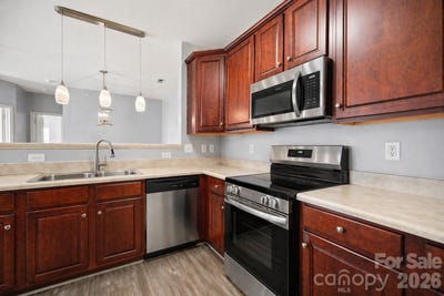 /international/us/17113-doe-valley-court-cornelius-nc-110104586082/